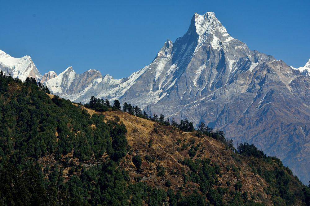 Ilustrasi Gunung Himalaya. (Pixabay.com/pehrlich)