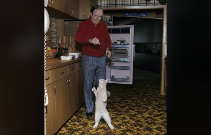 potret kucing bareng bapak-bapak di dapur (reddit.com/deleted)