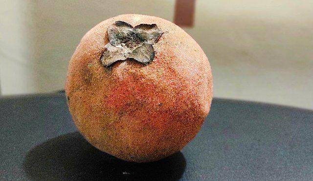 ilustrasi velvet apple (commons.wikimedia.org/Shahidul Hasan Roman)