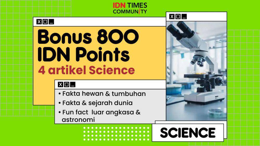 Kumpulan bonus IDN Points IDN Times Community (IDN Times/Sukma Mardya Shakti)