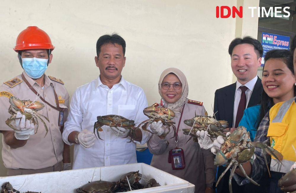 Kepala BP Batam, Muhammad Rudi (dua dari kiri) saat meninjau kepiting bakau yang akan di ekspor ke China (IDN Times/Putra Gema Pamungkas)