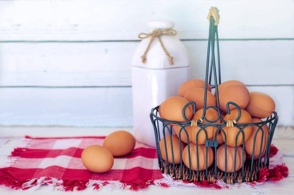 ilustrasi telur (pixabay.com/JillWellington)
