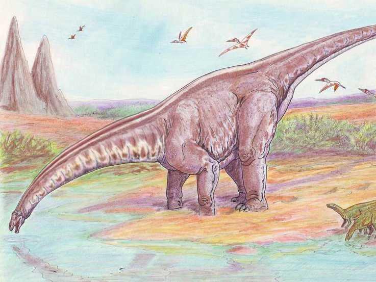 Sidersaura marae, Spesies Sauropoda Baru Ditemukan di Argentina