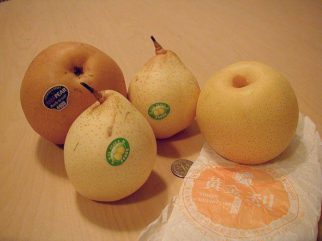 ilustrasi ya pear (commons.wikimedia.org/Jjok)