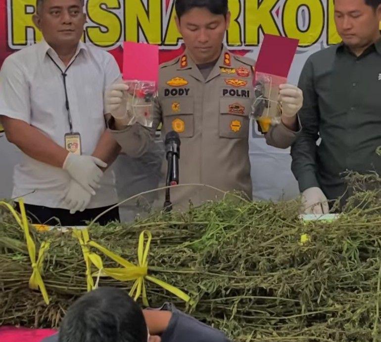 Susuri Bukit Selama 9 Jam, Polisi Temukan 2 Hektar Ladang Ganja