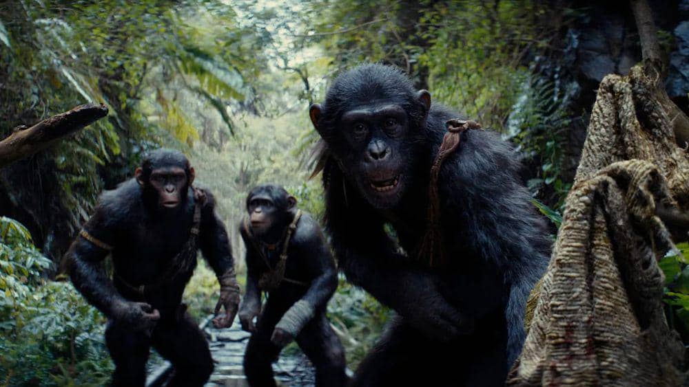 cuplikan film Kingdom of the Planet of the Apes (dok. 20th Century Fox/Kingdom of the Planet of the Apes)