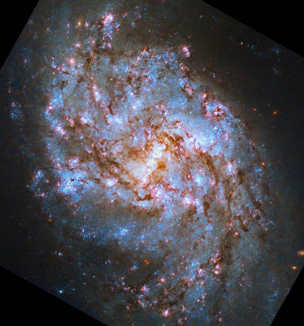 foto galaksi NGC 1087 diambil oleh Hubble Space Telescope (webbtelescope.org)