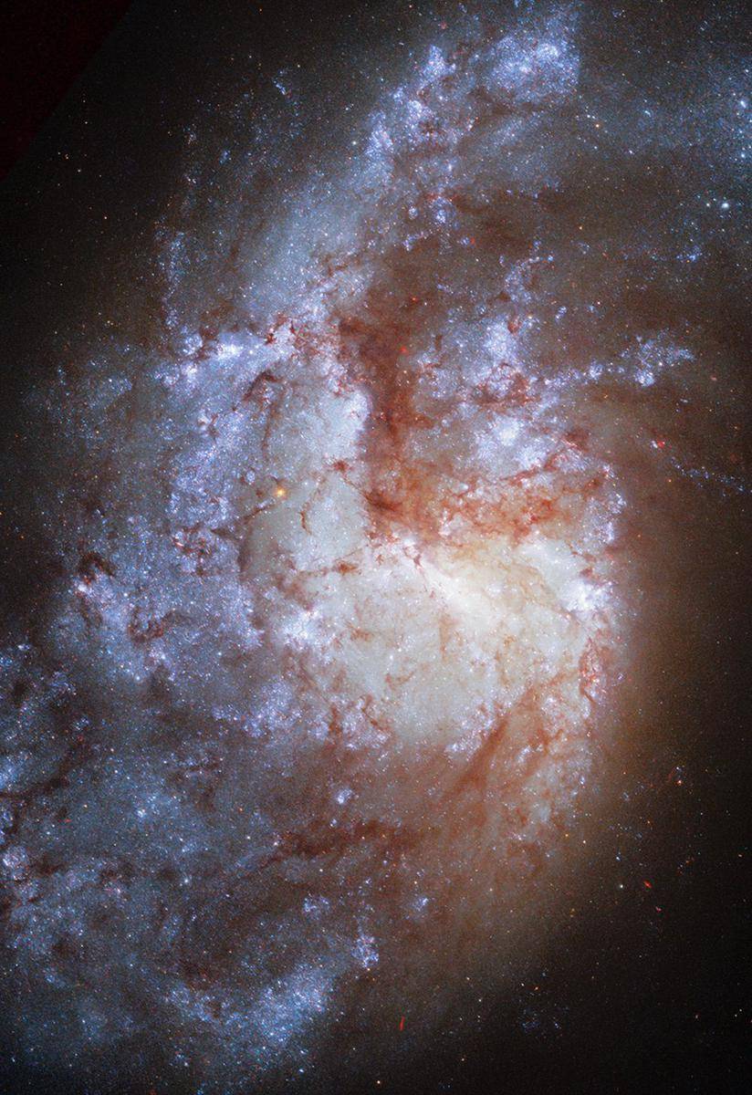 foto galaksi NGC 1385 diambil oleh Hubble Space Telescope (webbtelescope.org)
