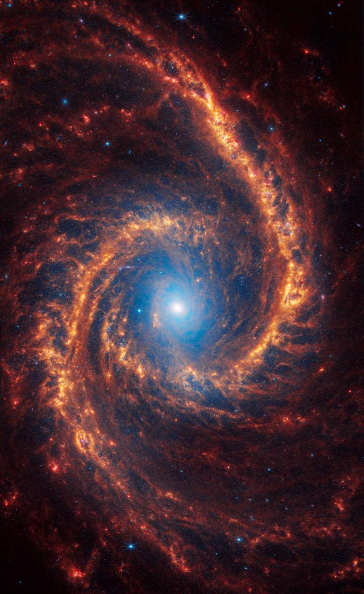 foto galaksi NGC 1566 diambil oleh James Webb Space Telescope (webbtelescope.org)