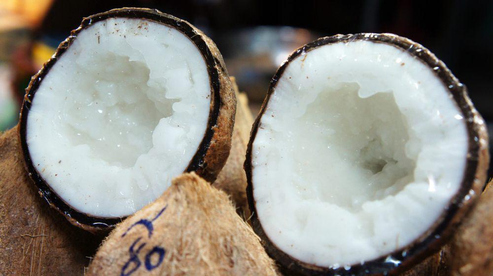 5 Fakta Kelapa Kopyor, Buah Hasil Penyimpangan Genetik