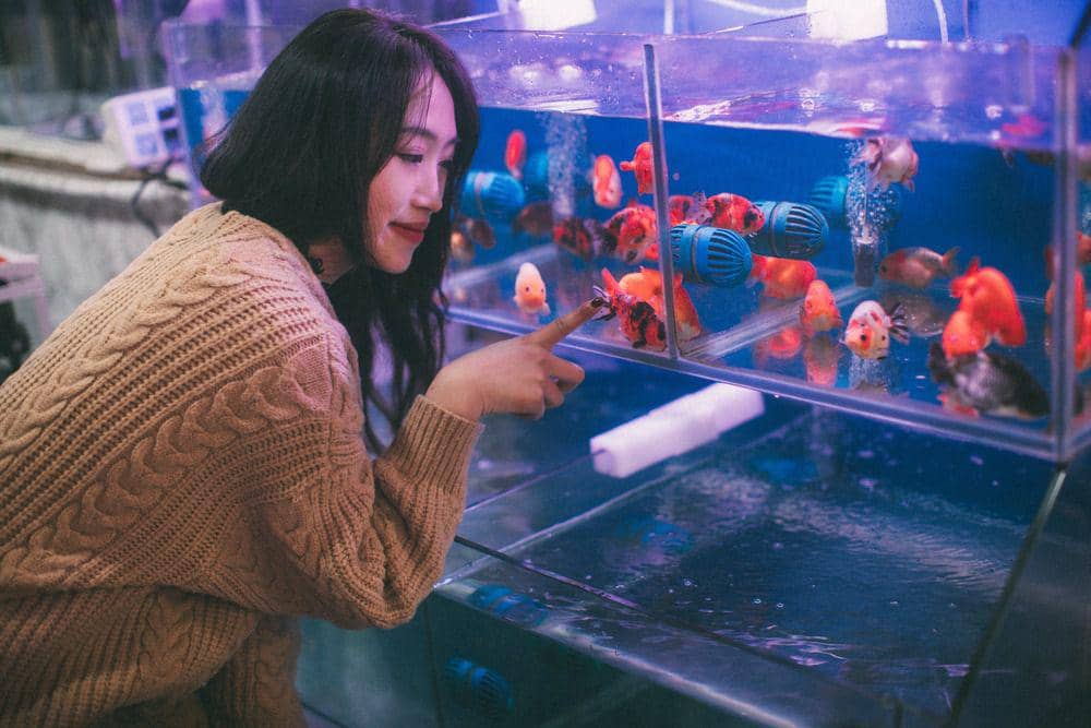 ilustrasi perempuan menunjuk ikan dalam akuarium (pexels.com/YI REN)