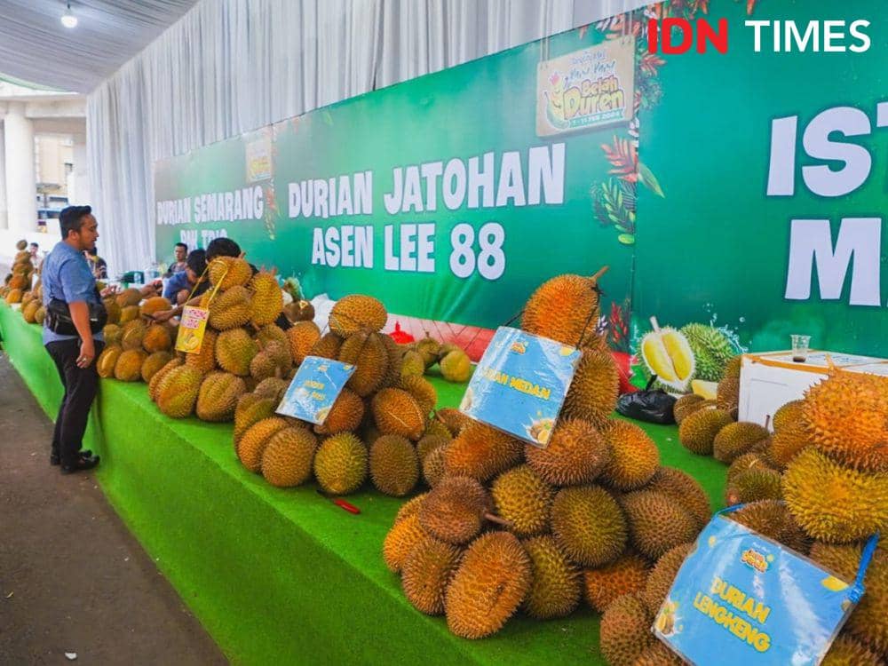 IDN Times/Maya Aulia Aprilianti