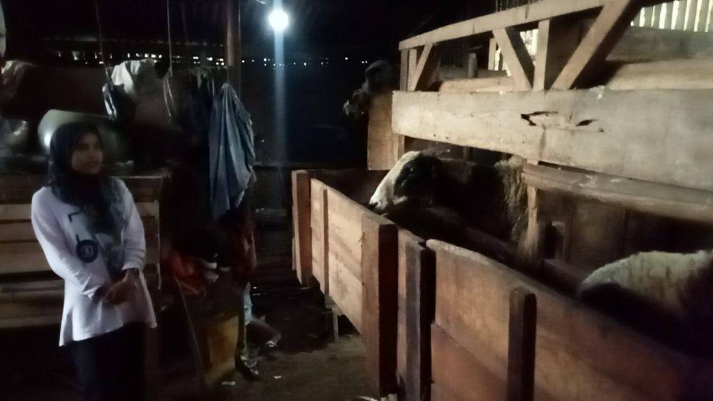 Tinggal di Kandang Domba, Kisah Pilu Keluarga Sukiman di Bandung Barat