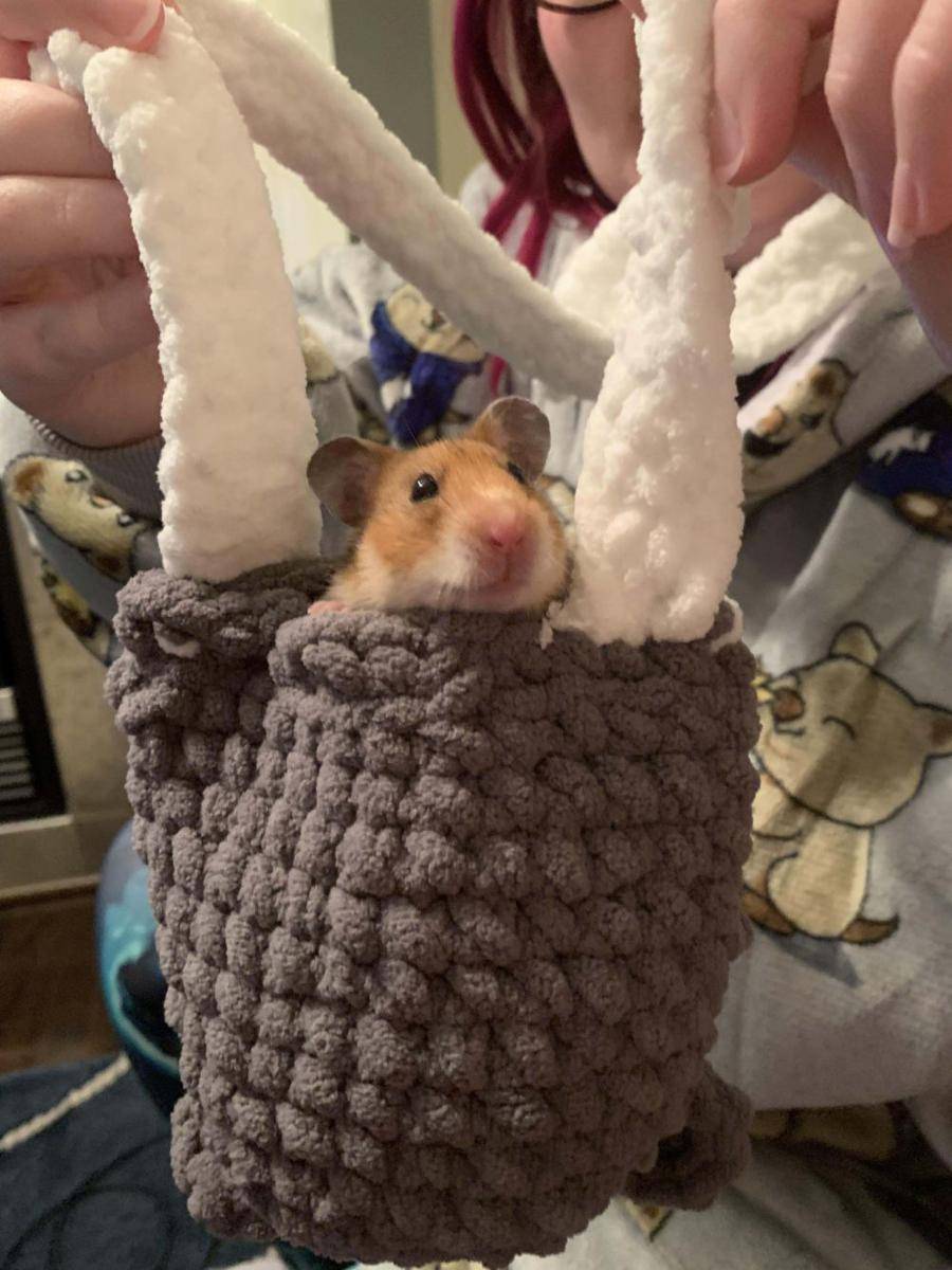 foto hamster dengan tas dan kantong (reddit.com/user/runawaytardis)