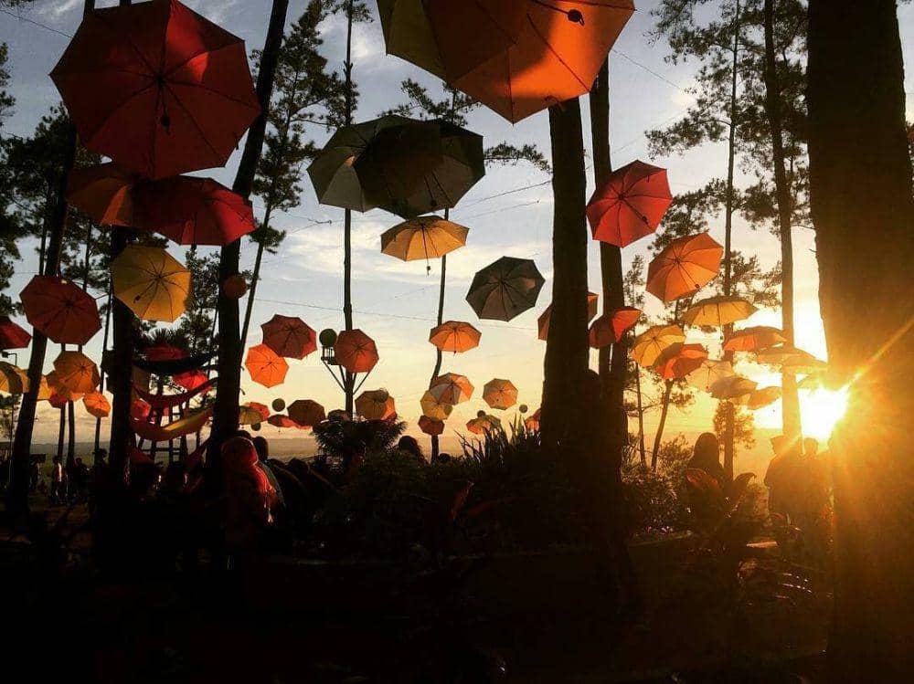 Kemit Forest wisata di Cilacap