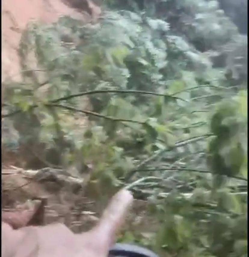Rekaman peristiwa longsor ini diunggah dari akun TikTok (TikTok @jenricoshitepandaraja)
