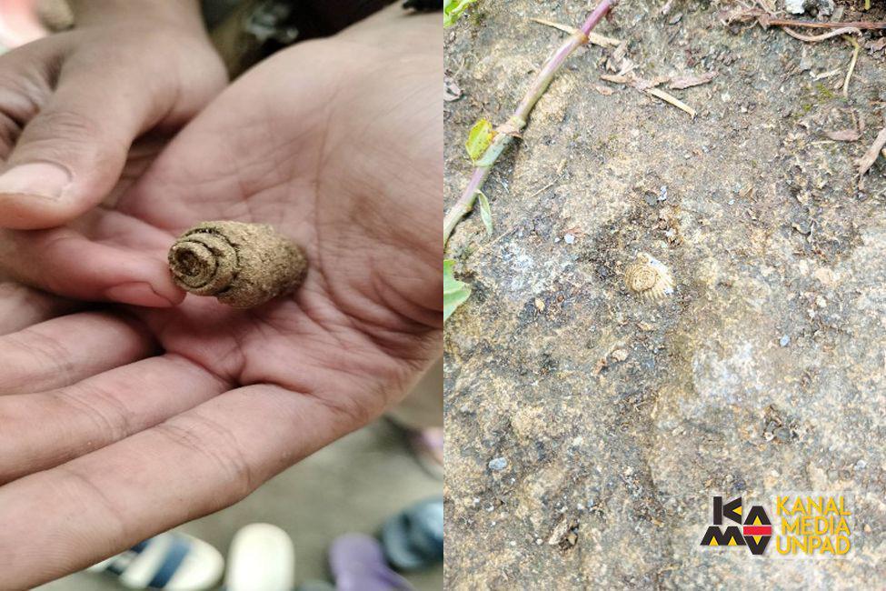 Mau Cari Durian, Mahasiswa Unpad Temukan Fosil Gastropoda-Pelecypoa