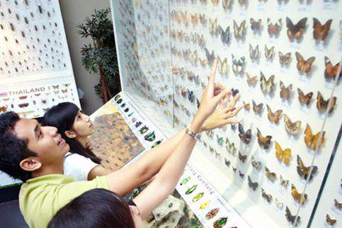 Insectarium di Museum Satwa, Jatim Park 2, Kota Batu. jtp.id