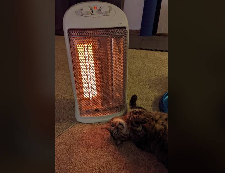 potret kucing berada di dekat penghangat (instagram.com/millre01)