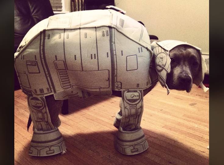 potret anjing cosplay jadi karakter Star Wars (reddit.com/Yardsale420)