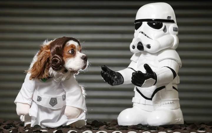 potret anjing cosplay jadi karakter Star Wars (reddit.com/tesla_beats_edison)
