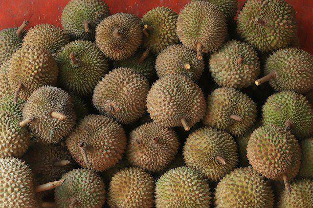 ilustrasi buah durian (unsplash.com/Mufid Majnun)