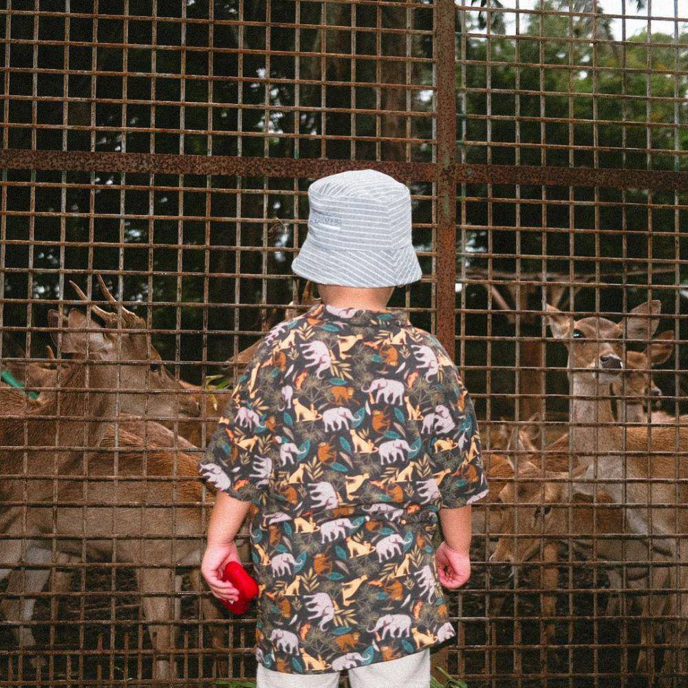 Potret Fuji Utami ajak Gala ke Kebun Binatang Ragunan (instagram.com/fuji_an)