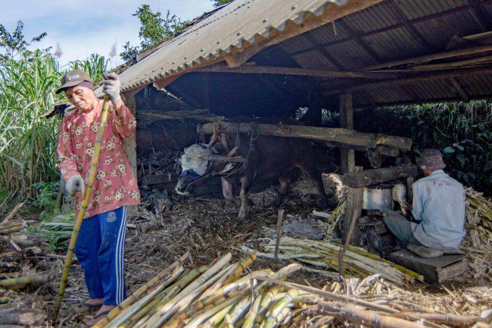 Petani Tebu Curhat ke Prabowo, Minta Pabrik Gula BUMN Digeber Lagi