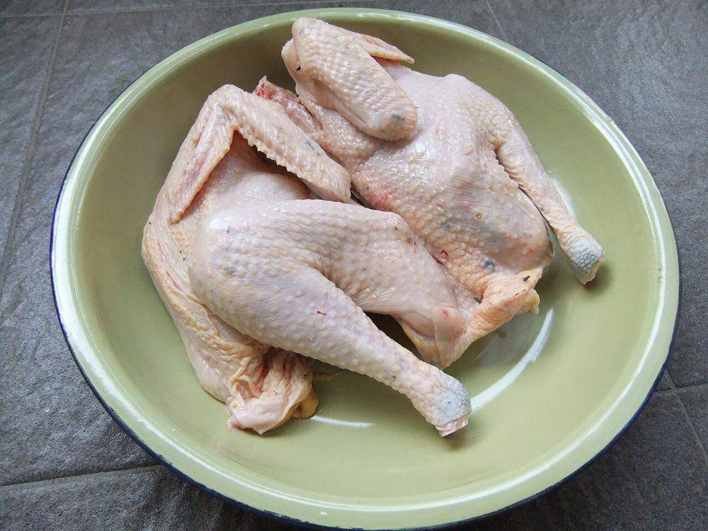 ilustrasi daging putih (commons.wikimedia.org/Sakurai Midori)