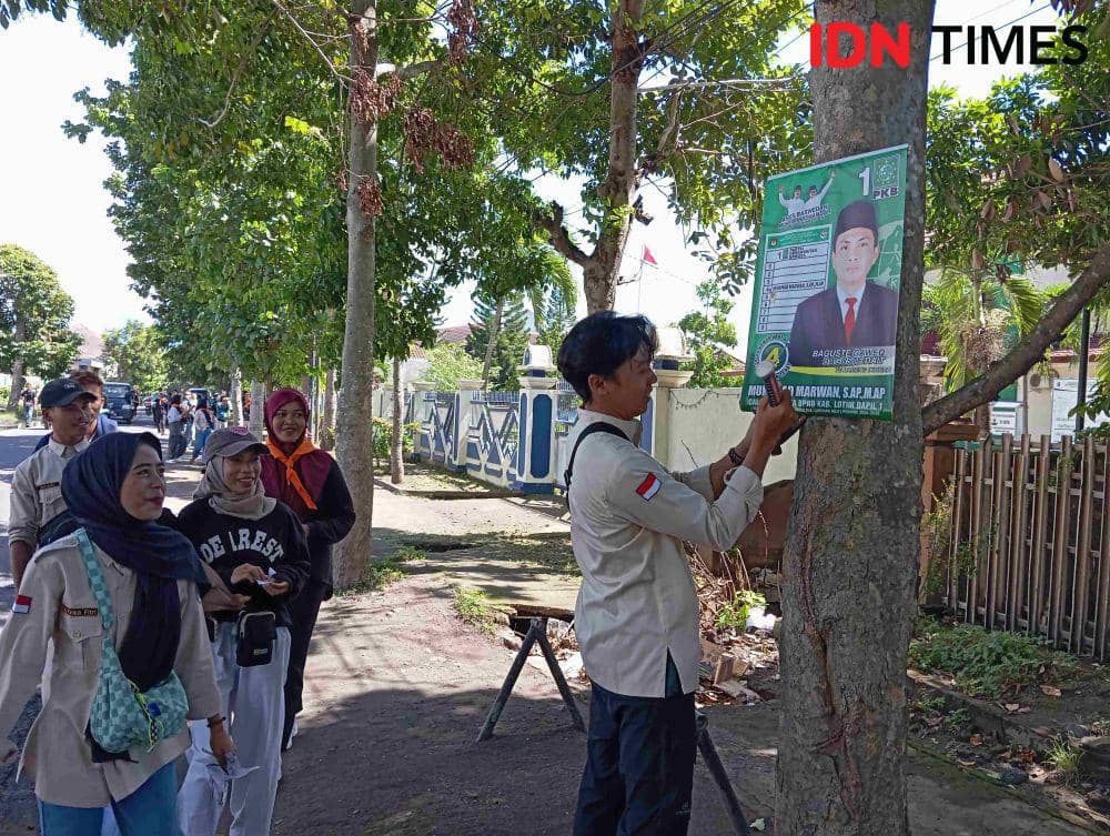 Massa pencinta alam Lotim, mencopot APK salah satu Caleg yang dipasang di Pohon. (IDN Times/ Ruhaili)