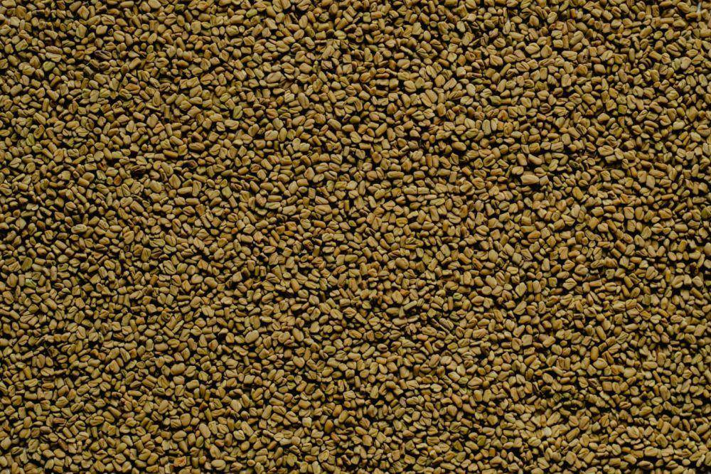 rempah fenugreek (pexels.com/Eva Bronzini)