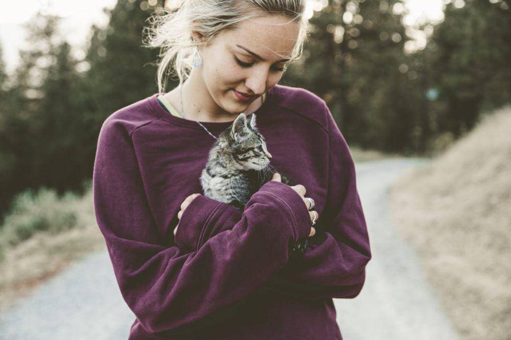 ilustrasi memeluk kucing(pexels.com/Japheth Mast)
