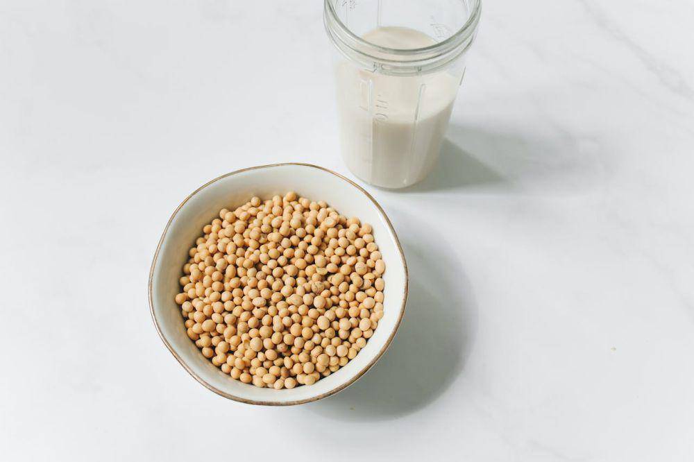 kacang kedelai dalam mangkuk (pexels.com/Polina Tankilevitch)