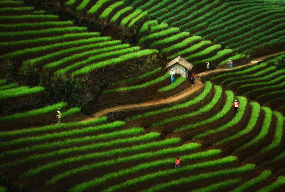 potret keindahan alam di Indonesia (instagram.com/okyarisandi)