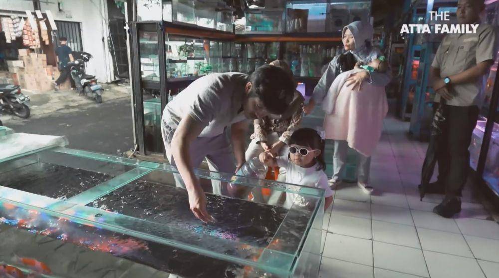 Atta beli ikan untuk rumah baru (YouTube.com/Atta Halilintar)