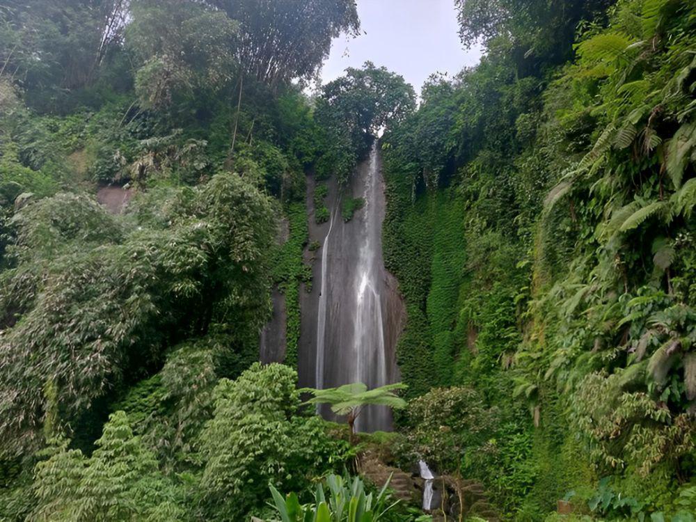Curug Anom Cisarua: Lokasi, Harga Tiket Masuk, dan Aktivitas Seru