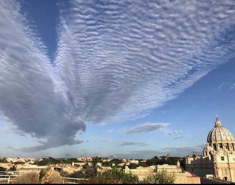 potret awan bentuk hewan (reddit.com/user/JimFancyPants)