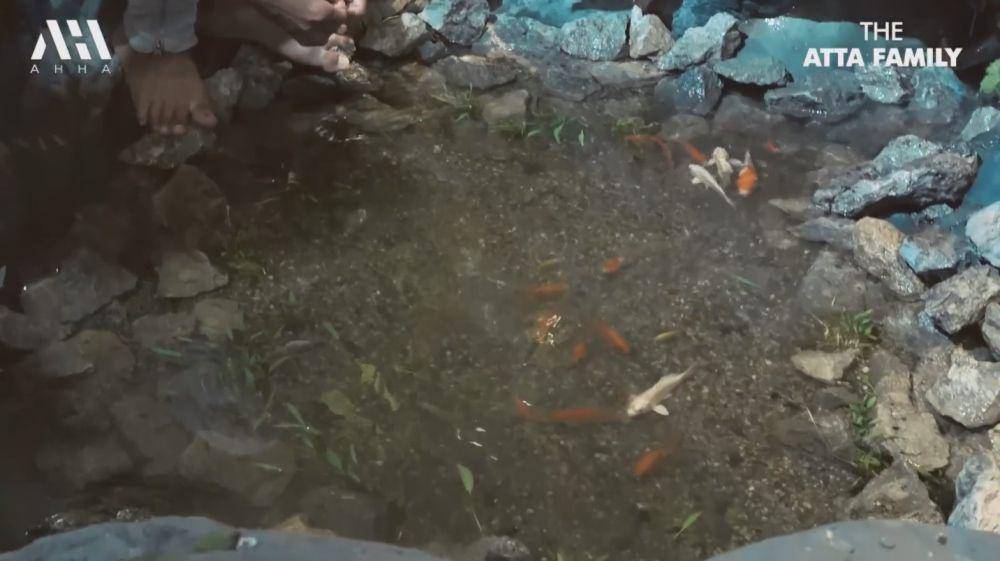 Atta beli ikan untuk rumah baru (YouTube.com/Atta Halilintar)