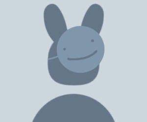 Foto profil WA kosong (pinterest.com)