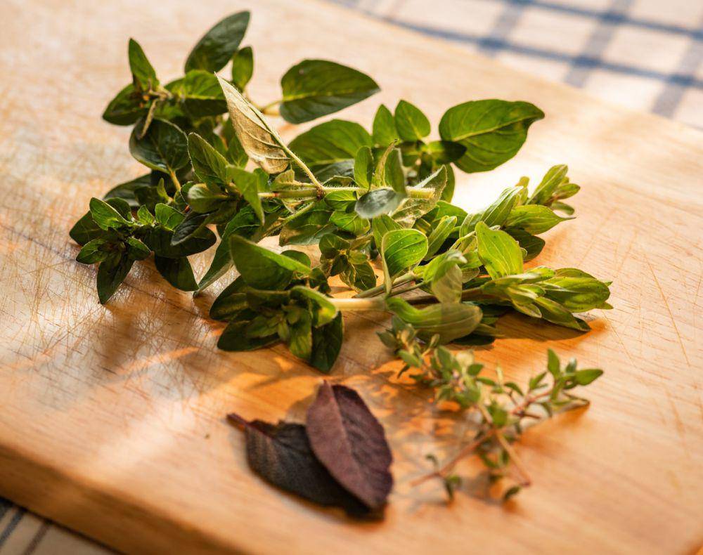 ilustrasi daun marjoram (pixabay.com/AndreasGoellner)