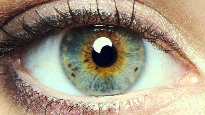 I Origins (dok. SearchlightPictures/I Origins)