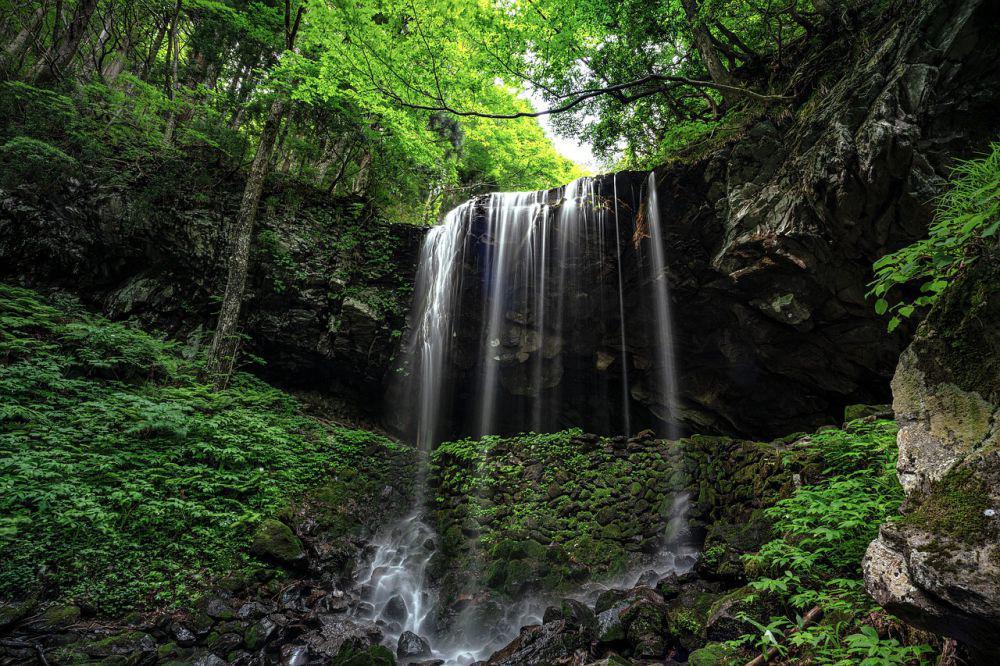 5 Rekomendasi Air Terjun di Bondowoso, Cocok Buat Healing