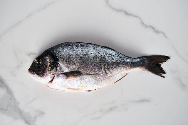 ilustrasi ikan bandeng segar (pexels.com/Alex Bayev)