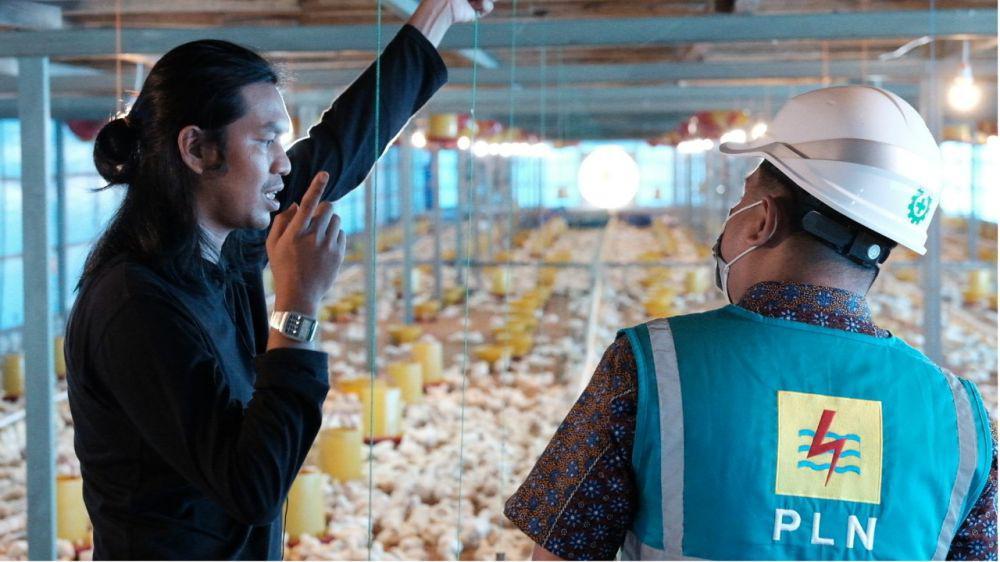 Peternak Ayam di Gowa Hemat Puluhan Juta dengan Listrik PLN