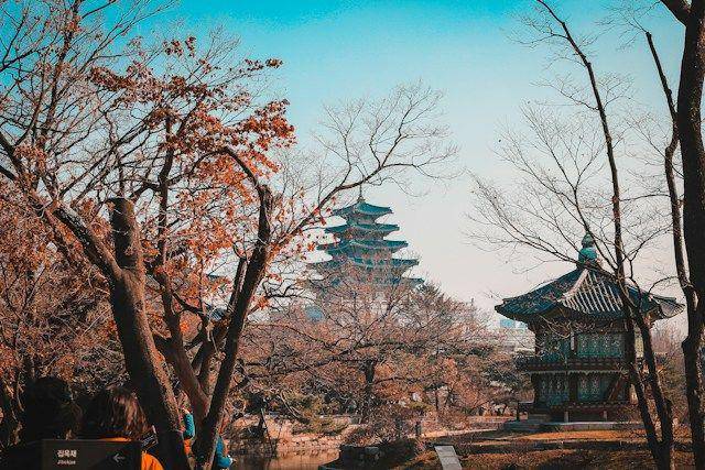Korea Selatan (unsplash.com/Louie Nicolo Nimor)