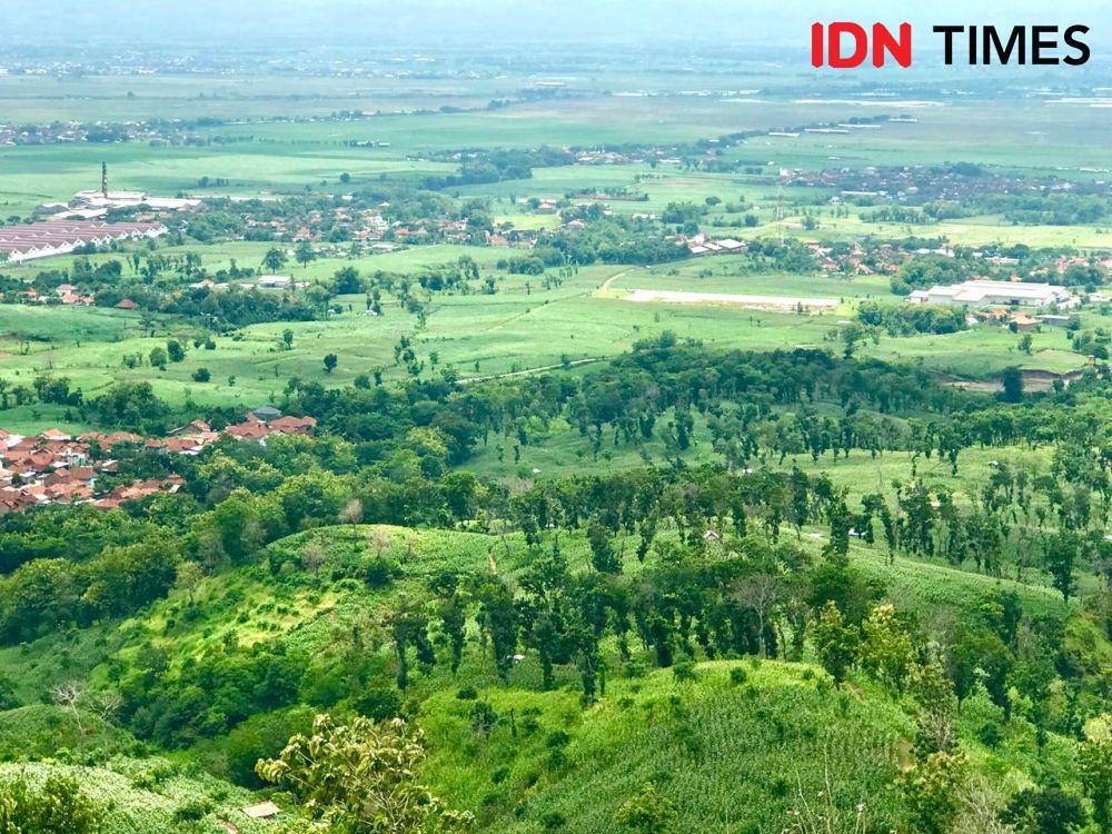 Kawasan lereng Gunung Muria di Kabupaten Kudus. (IDN Times/Dhana Kencana)