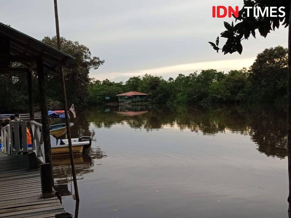 Suasana di Klias Wetland, Sabah. (IDN Times/Sandy Firdaus)