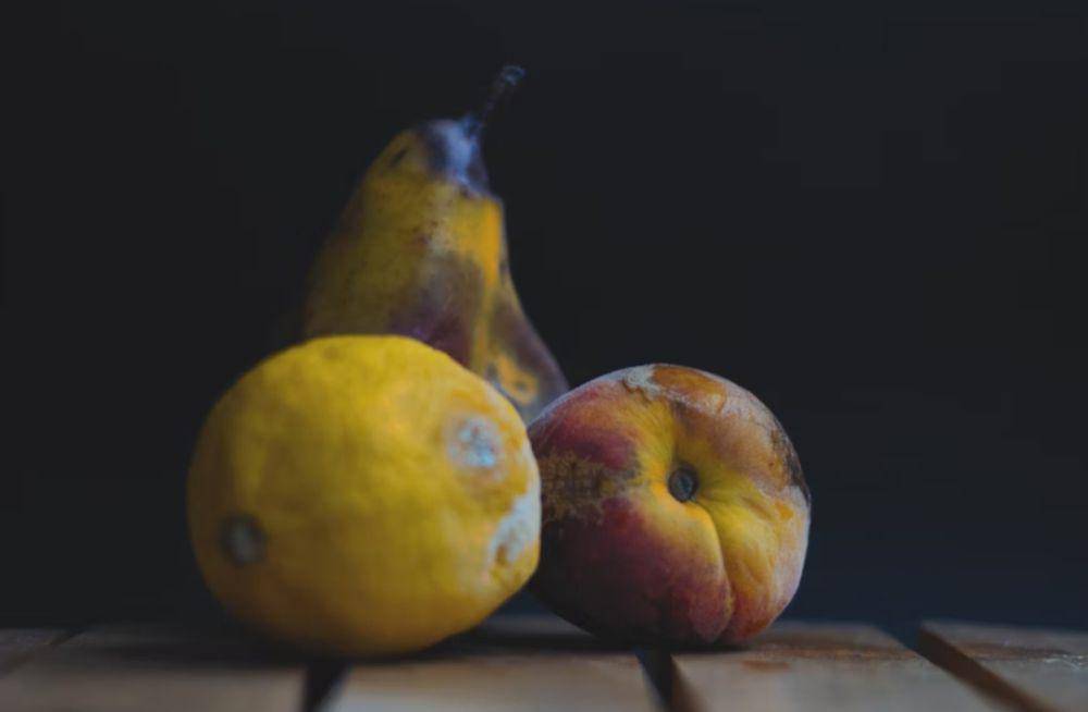 ilustrasi makanan yang busuk (unsplash.com/Anita Jankovic)