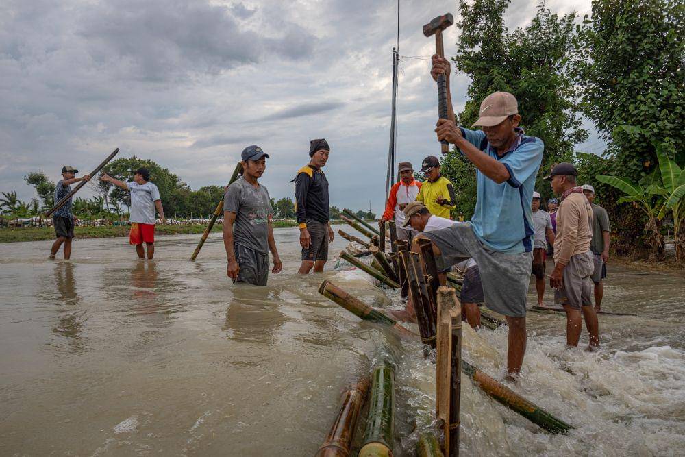 Warga bergotong royong membuat tanggul darurat dari bambu dan karung berisi tanah untuk menahan air dari jebolnya tanggul Daerah Aliran Sungai (DAS) Jratun-Wulan di Dukuh Luwuk, Desa Sidomulyo, Kecamatan Dempet, Kabupaten Demak, Jawa Tengah, Kamis (8/2/2024). (ANTARA FOTO/Aji Styawan)