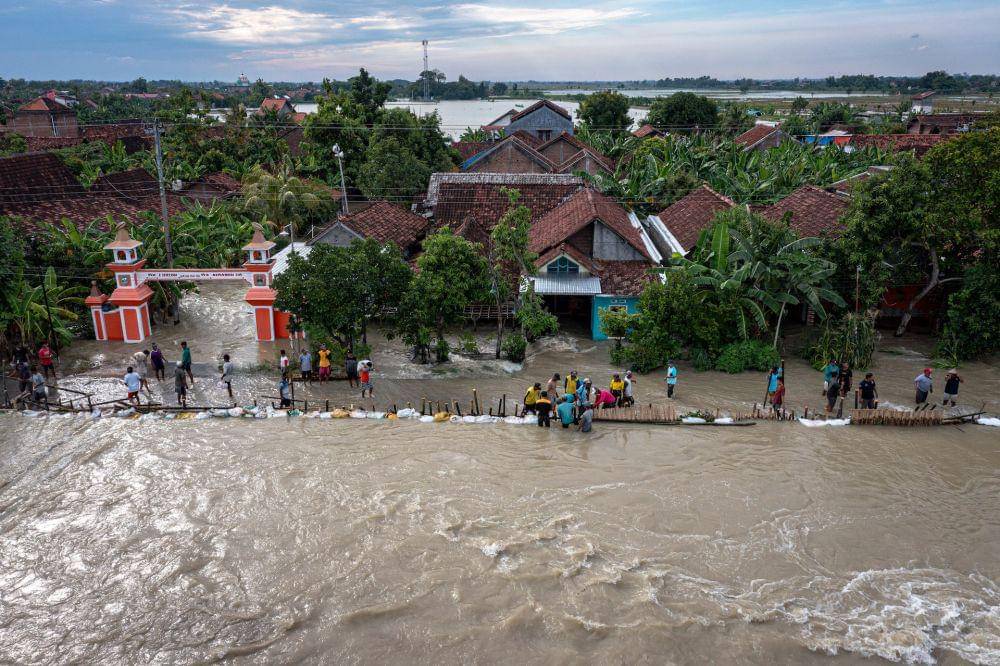 Foto udara warga bergotong royong membuat tanggul darurat dari bambu dan karung berisi tanah untuk menahan air dari jebolnya tanggul Daerah Aliran Sungai (DAS) Jratun-Wulan di Dukuh Luwuk, Desa Sidomulyo, Kecamatan Dempet, Kabupaten Demak, Jawa Tengah, Kamis (8/2/2024). (ANTARA FOTO/Aji Styawan)